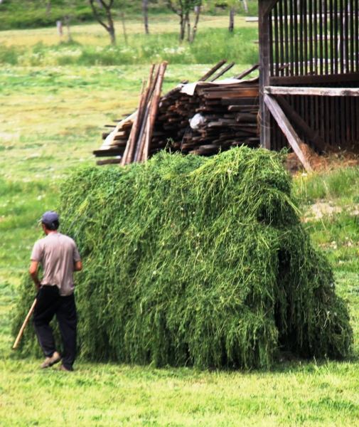 Roemenië (25)