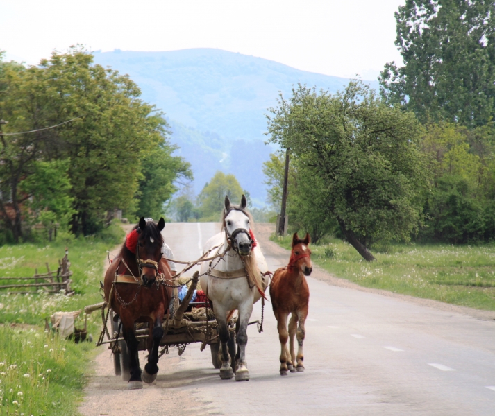Roemenië (33)