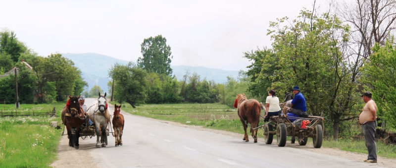 Roemenië (34)