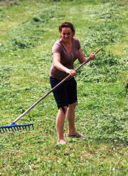 Roemenië (36)