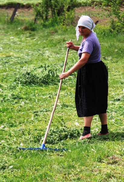 Roemenië (37)