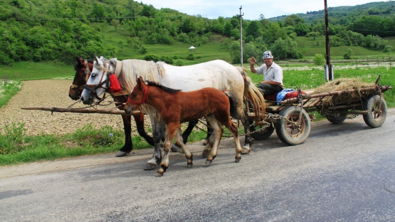 Roemenië (39)
