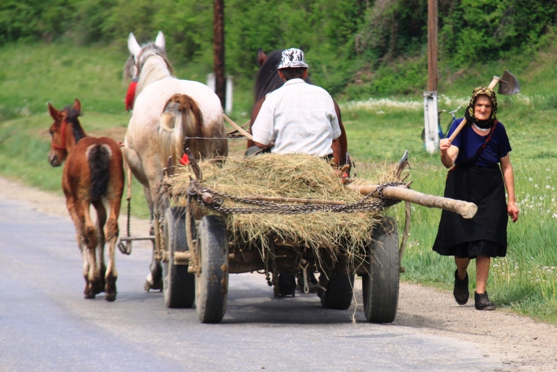 Roemenië (40)