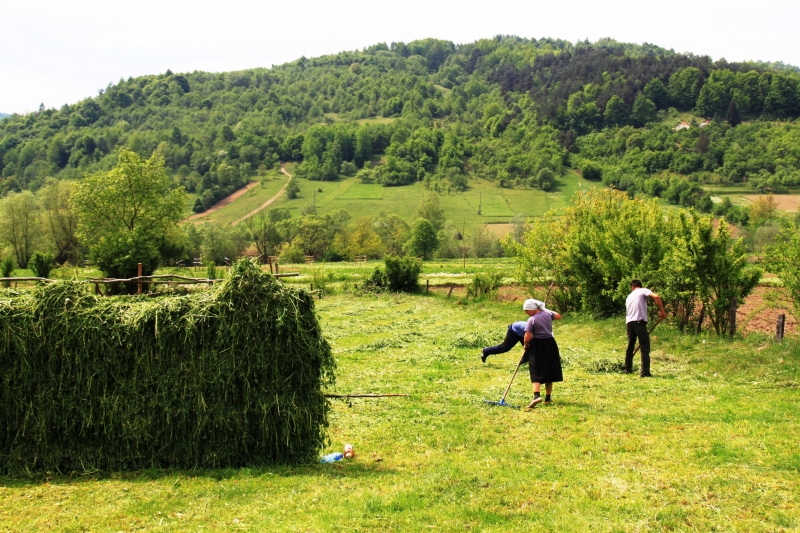 Roemenië (42)