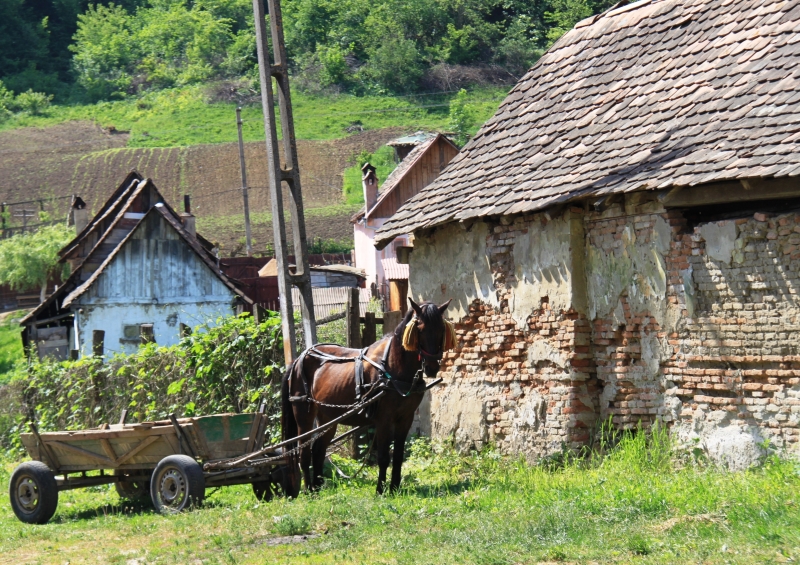 Roemenië (44)
