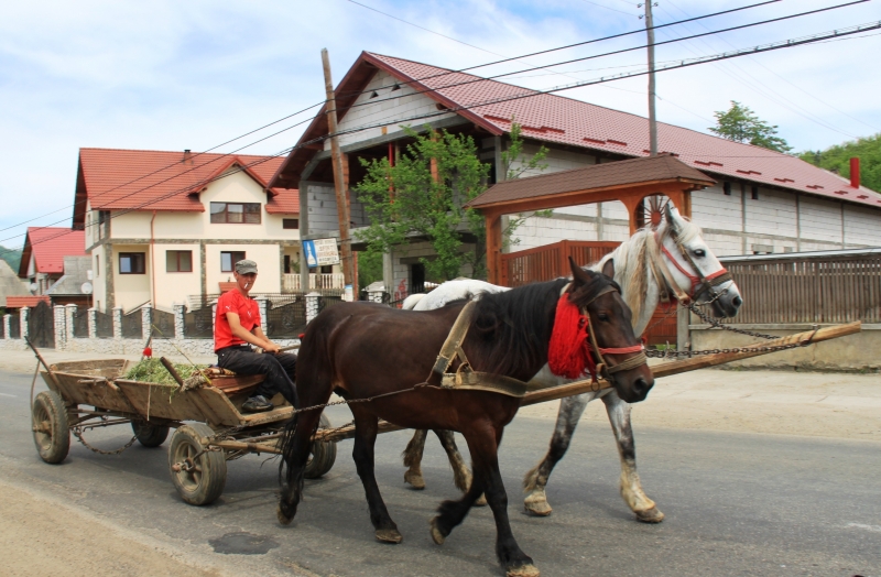 Roemenië (49)