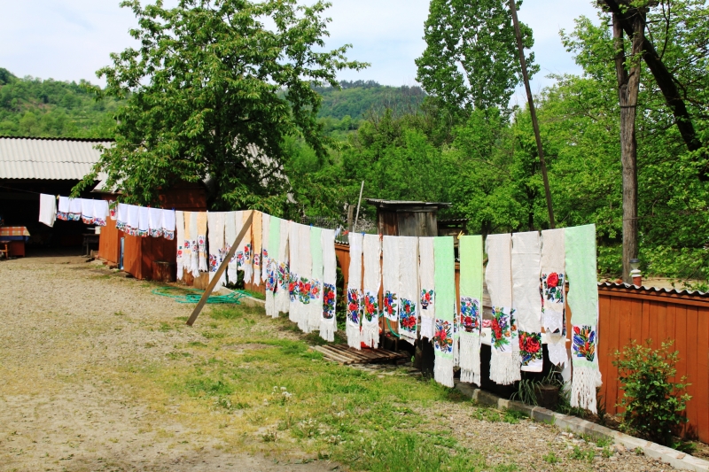Roemenië (63)