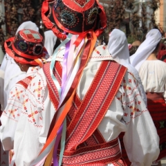 Roemenië (78)