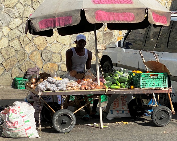 Saint-Vincent-Grenadines-73