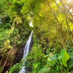 Saint-Vincent-Grenadines-20