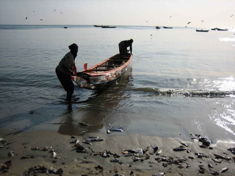 Senegal (18)