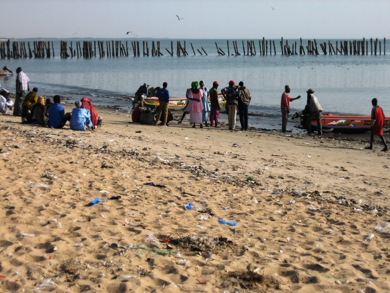 Senegal (25)