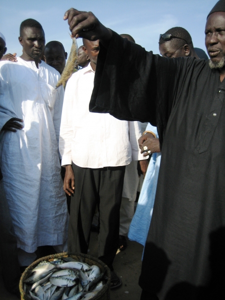 Senegal (57)