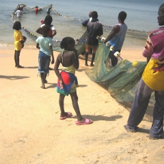 Senegal (27)