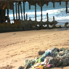 Senegal (38)