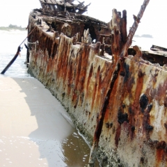 Senegal (39)