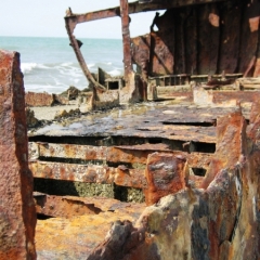 Senegal (40)