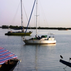 Senegal (7)