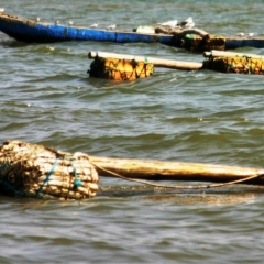Senegal (8)