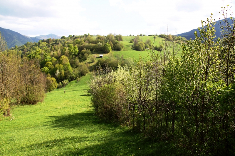 Slowakije (111)