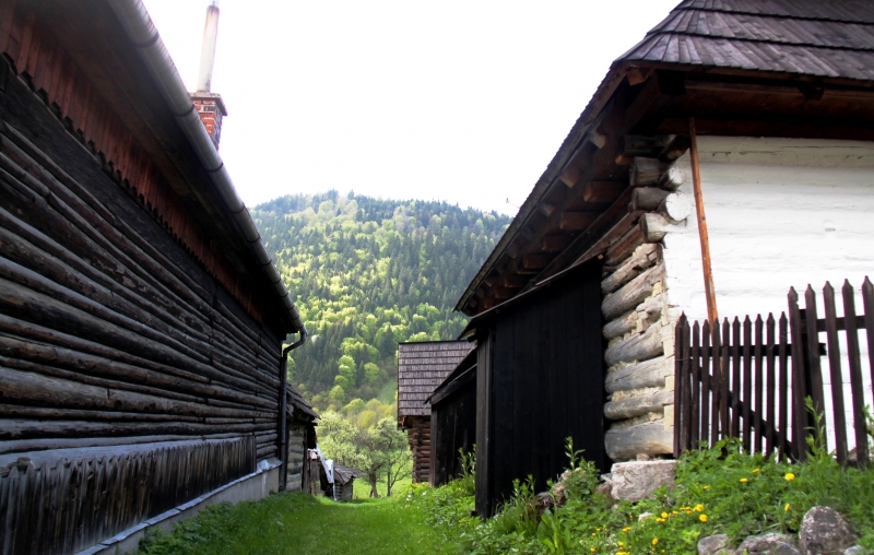 Slowakije (81)