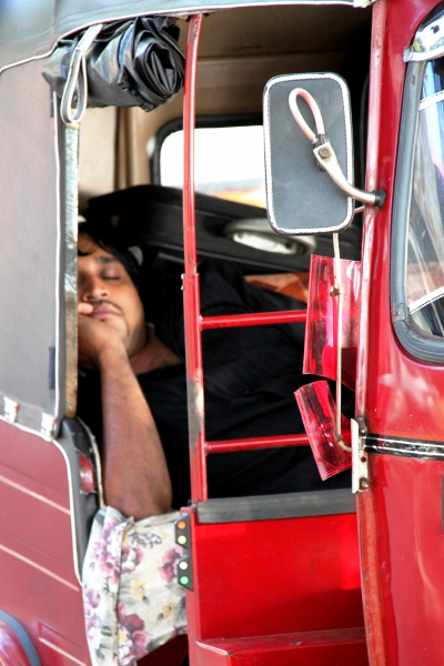 Sri Lanka (107)