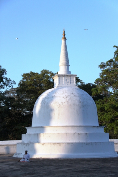Sri Lanka (11)