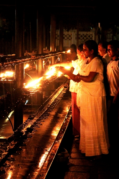 Sri Lanka (136)