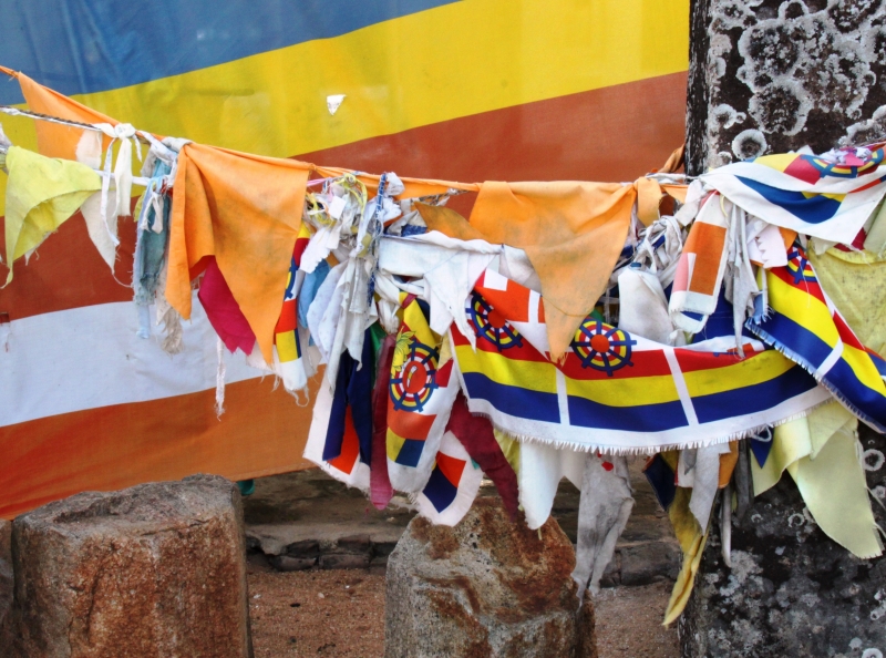 Sri Lanka (143)