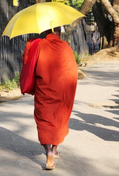 Sri Lanka (149)
