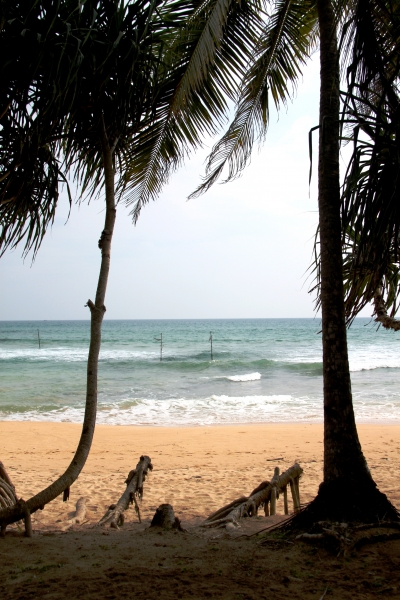 Sri Lanka (245)