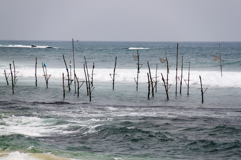Sri Lanka (30)