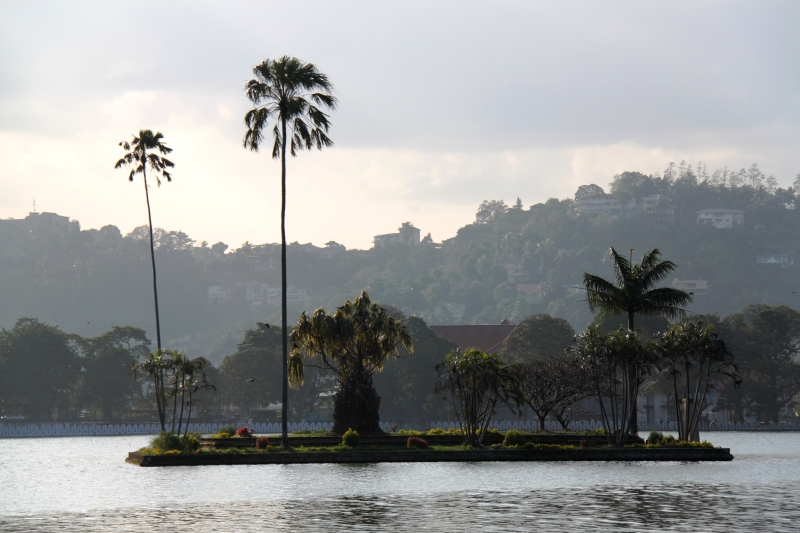 Sri Lanka (49)
