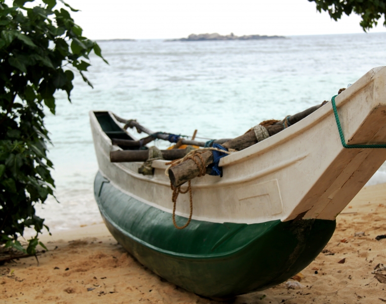 Sri Lanka (55)