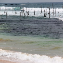 Sri Lanka (29)