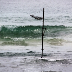 Sri Lanka (33)