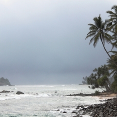 Sri Lanka (39)