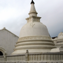 Sri Lanka (43)