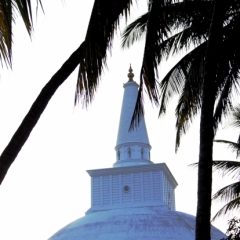 Sri Lanka (5)