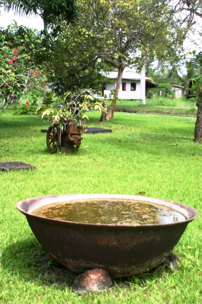 Suriname (18)