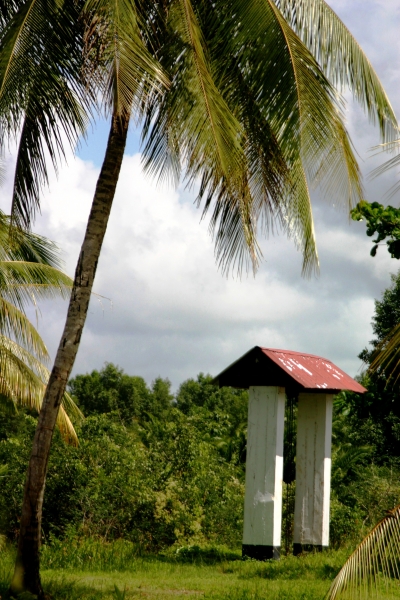 Suriname (19)