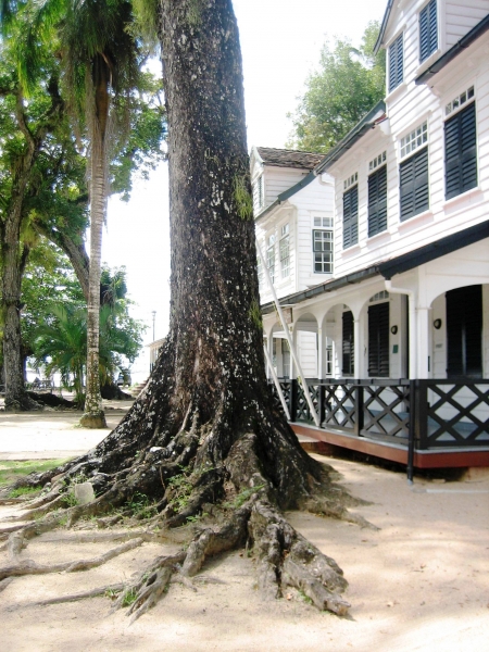 Suriname (28)