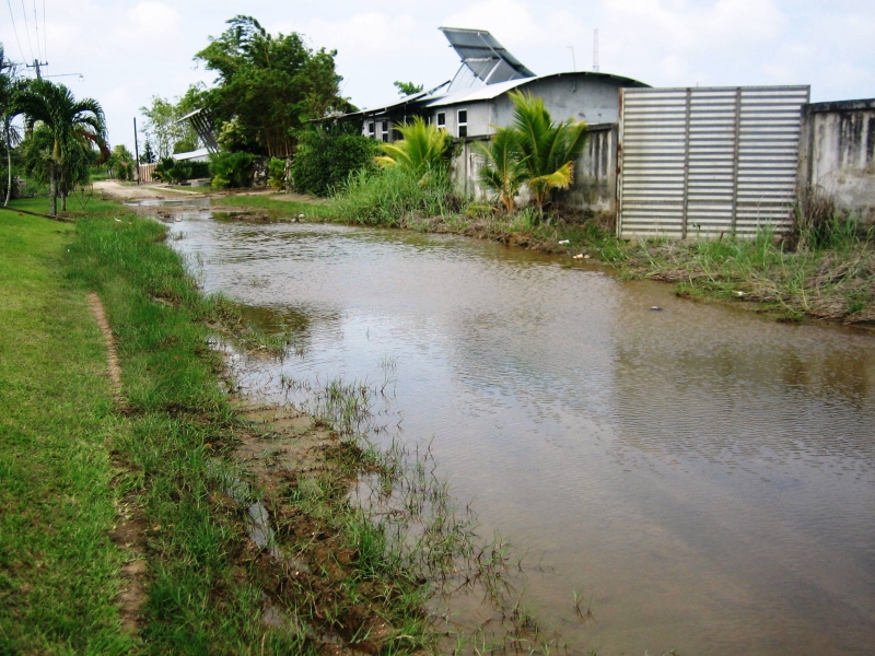 Suriname (32)