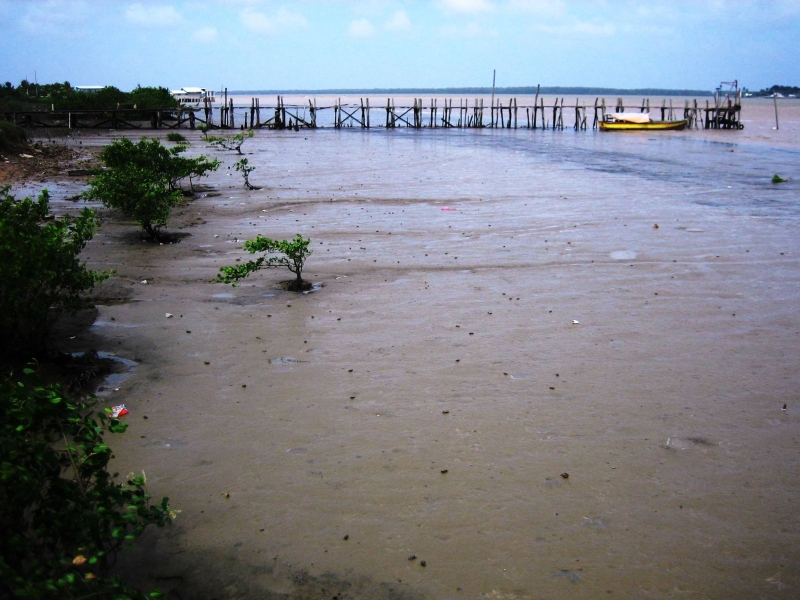 Suriname (34)