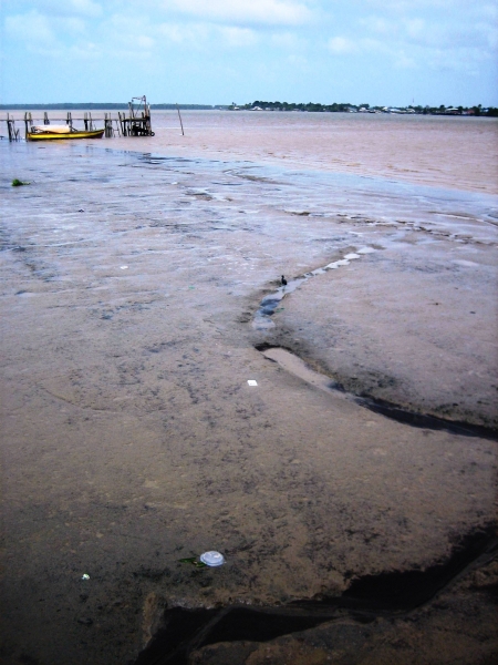 Suriname (35)
