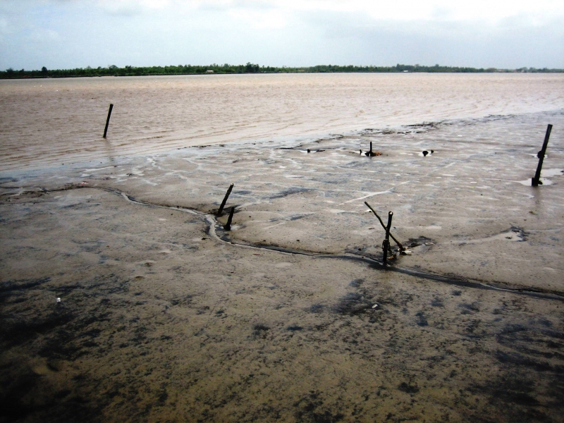 Suriname (37)