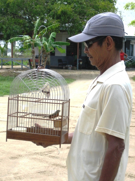 Suriname (50)