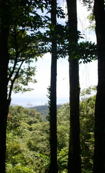 Suriname (7)