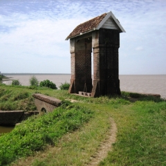 Suriname (22)