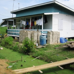 Suriname (30)